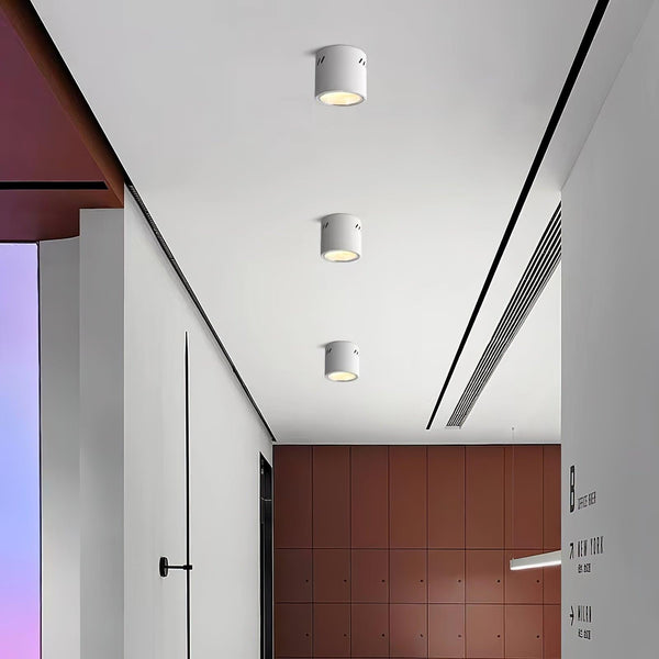 Aven Ceiling-mounted light Spotlight