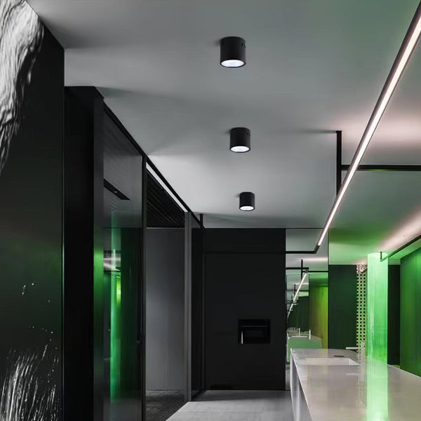 Aven Ceiling-mounted light Spotlight