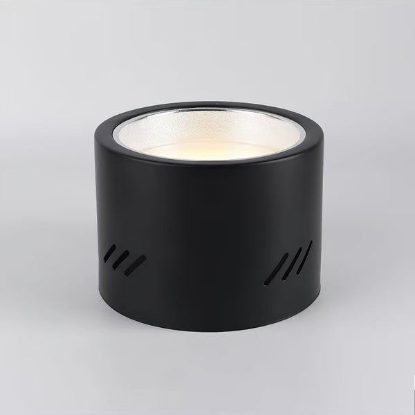 Aven Ceiling-mounted light Spotlight