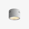 Aven Ceiling-mounted light Spotlight