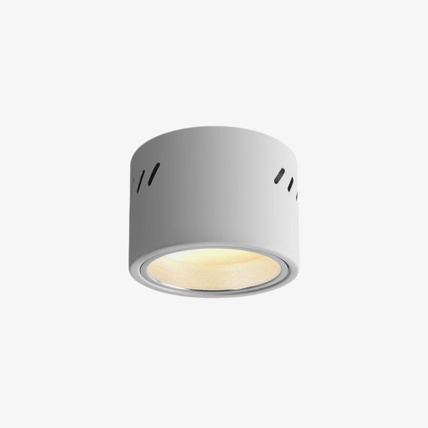 Aven Ceiling-mounted light Spotlight