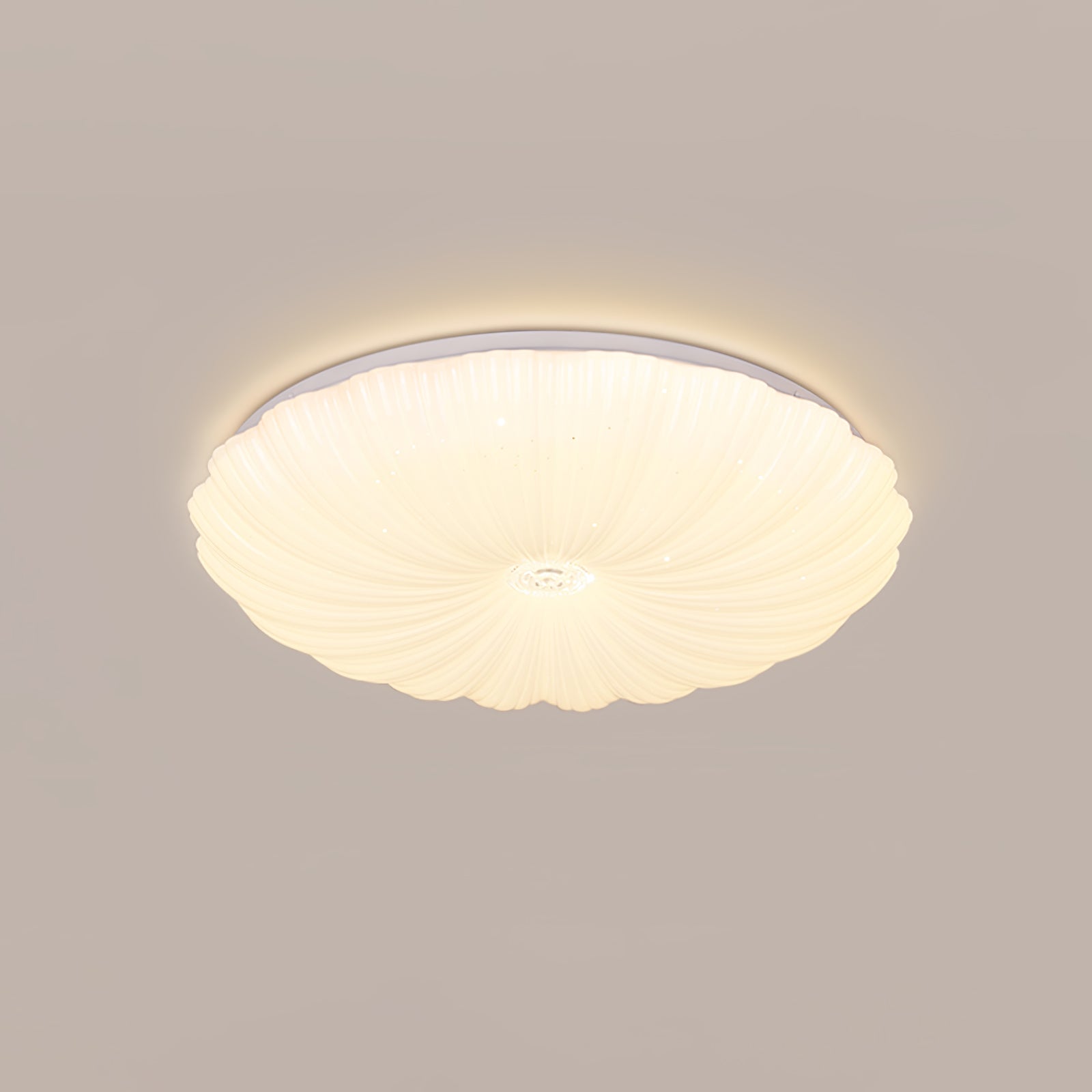 Shell Acrylic Round Ceiling Lamp