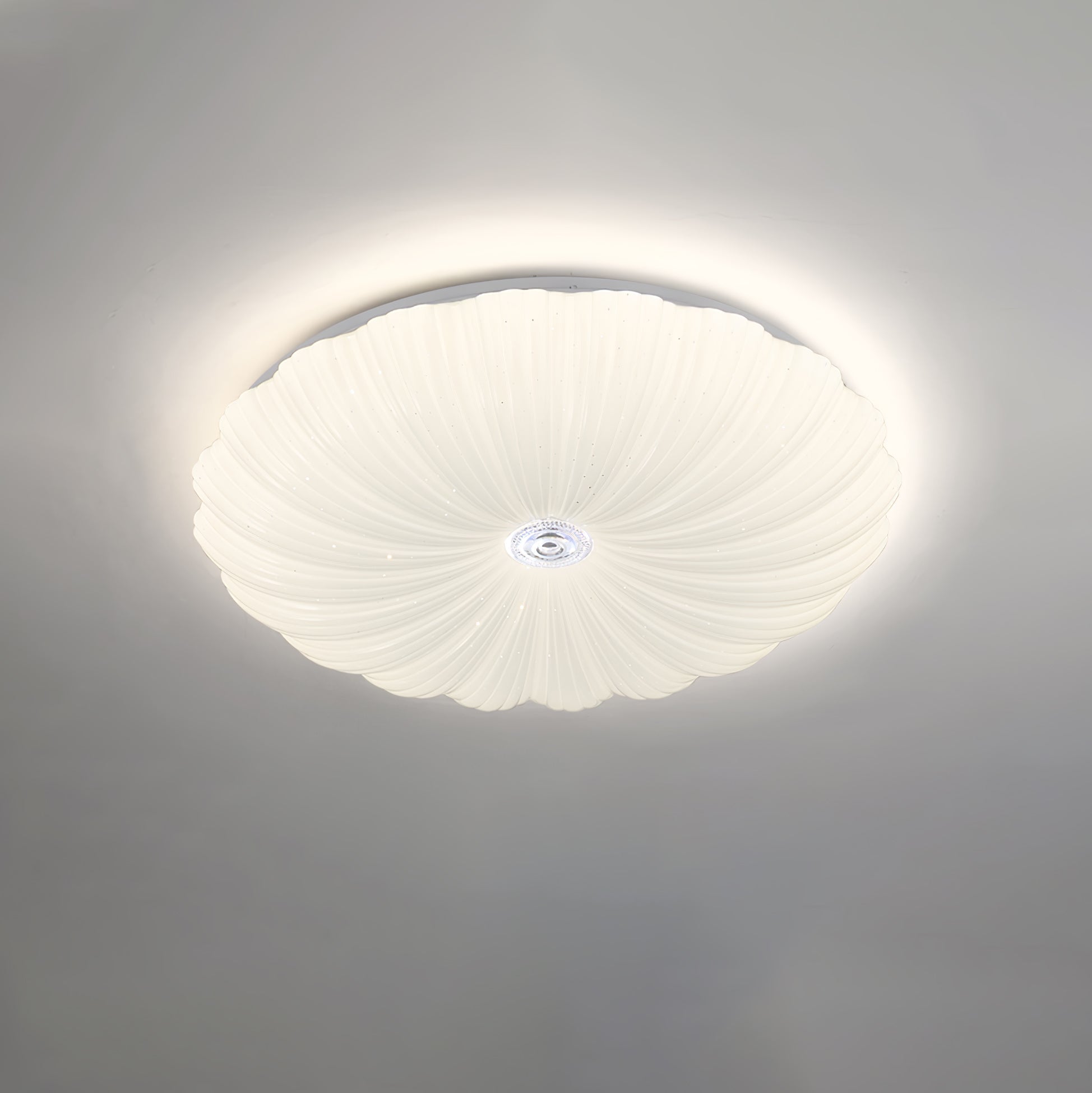 Shell Acrylic Round Ceiling Lamp
