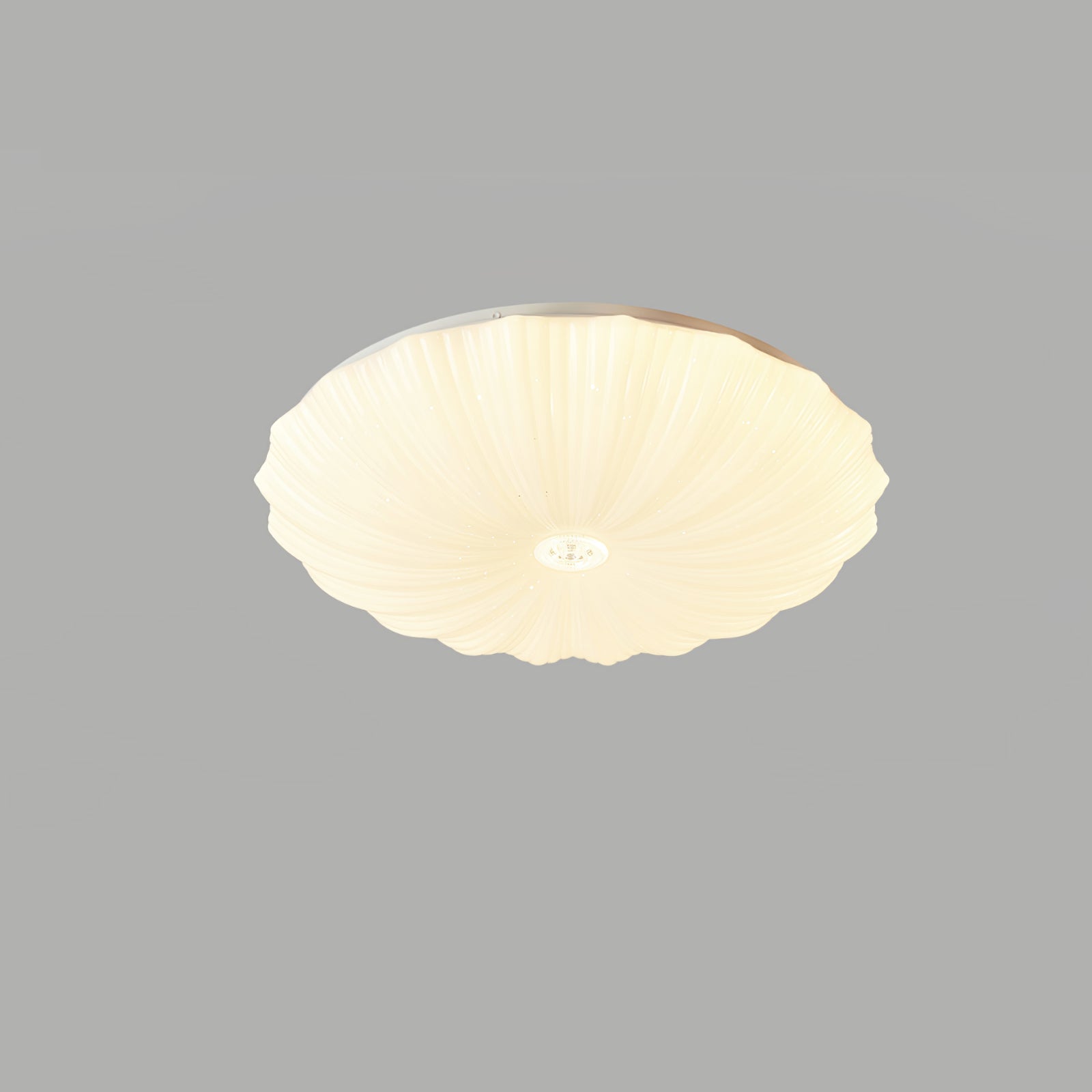Shell Acrylic Round Ceiling Lamp