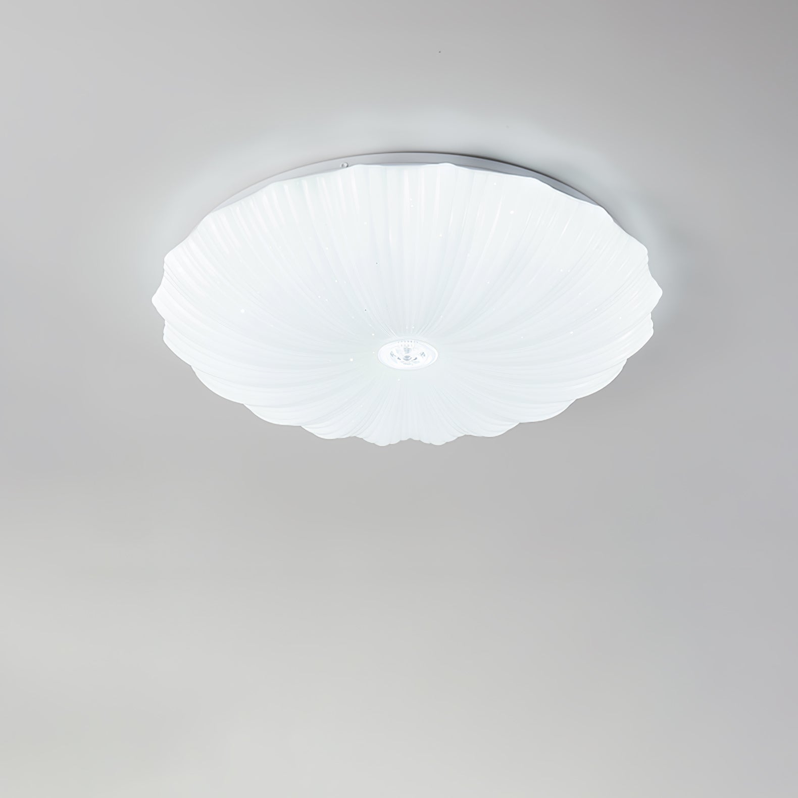 Shell Acrylic Round Ceiling Lamp