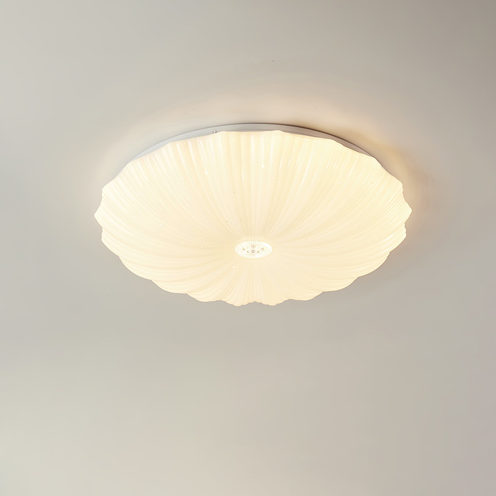 Shell Acrylic Round Ceiling Lamp