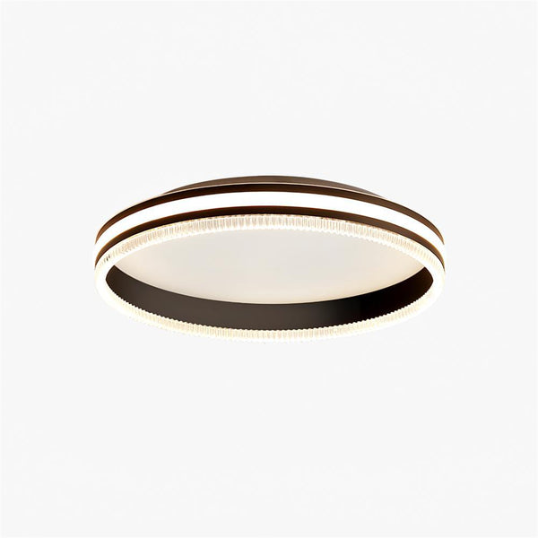Simple Acrylic Ring Overhead light Ceiling Light