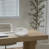 Thom Round Glass Dimmable Wall Sconce | Modern Luxury Indoor Lighting