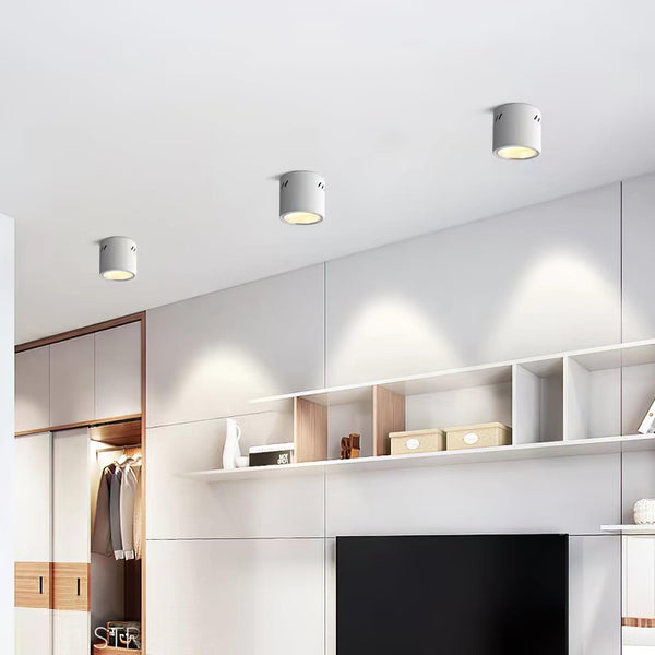 Aven Ceiling-mounted light Spotlight