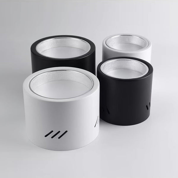 Aven Ceiling-mounted light Spotlight