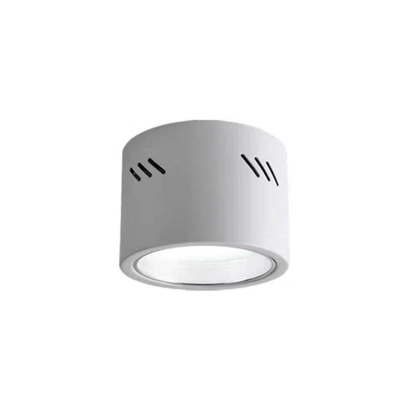 Aven Ceiling-mounted light Spotlight