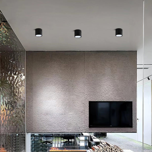 Aven Ceiling-mounted light Spotlight