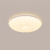 Shell Acrylic Round Ceiling Lamp