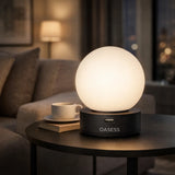 Black OASESS Sphere USB Table Lamp